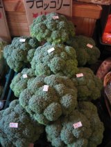 防水布なし布ナプキン６点up