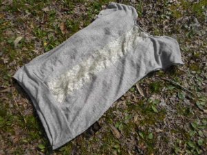 画像5: コットン１００％デザインTシャツ☆バックセンターレースT　オートミール　