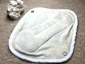 画像2: 布ナプキン　GORE- TEX　オーガニック