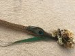 画像6: ドライフラワー x ワイルドフェザー ハットピン hatpin feathe dryflower (6)
